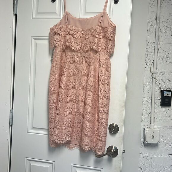 Pink Lace Dress - Brand New - Beautiful Spaghetti Strap - Size 8 Dress - NEW - Picture 6 of 6